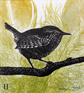 Wren and Feathers Experiments 2023