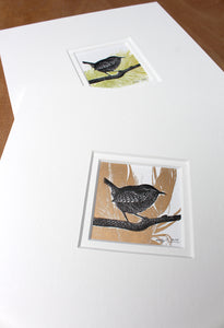 Wren and Feathers Experiments 2023