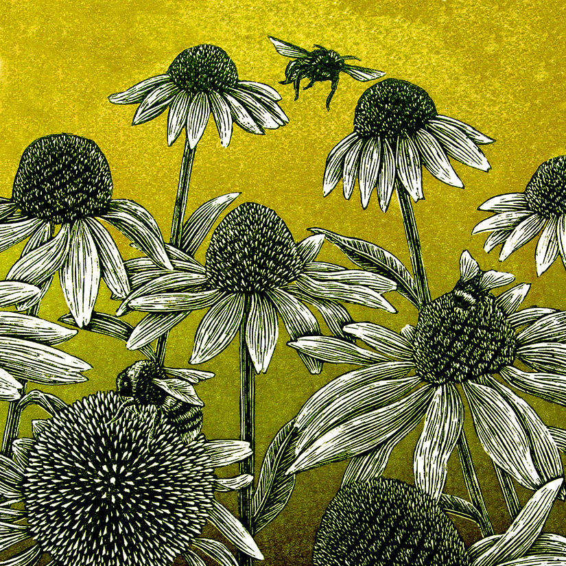 WHOLESALE LISTING Bees and Echinacea (Green) Greetings Card RRP £3