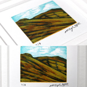 Dartmoor Study II 2023 *Second*