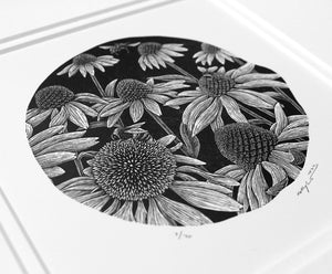 Bees and Echinacea 2022