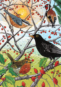 British Birds Advent Calendar Greetings Card