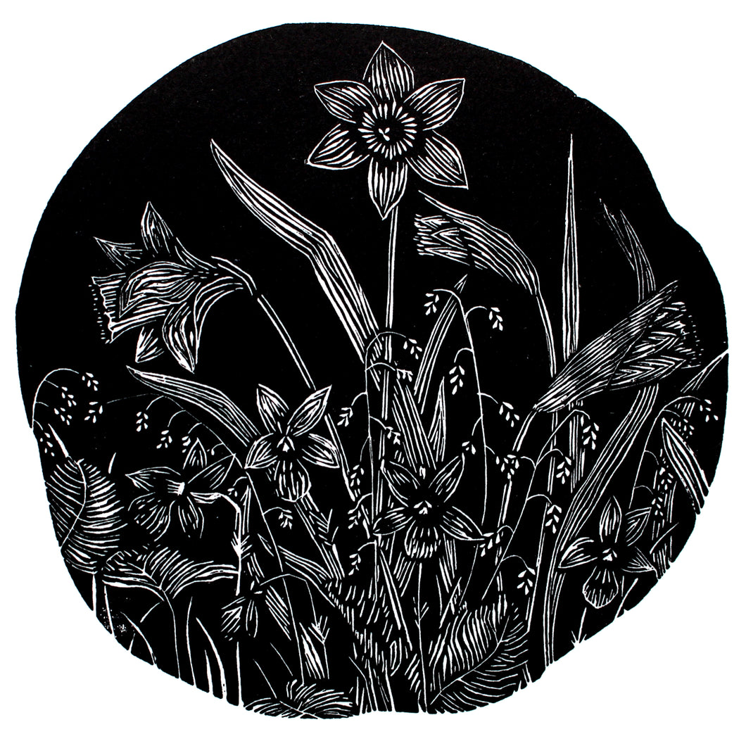 Molly Lemon Wood Engraving Daffodils