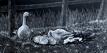 Load image into Gallery viewer, Molly Lemon Wood Engraving Geese
