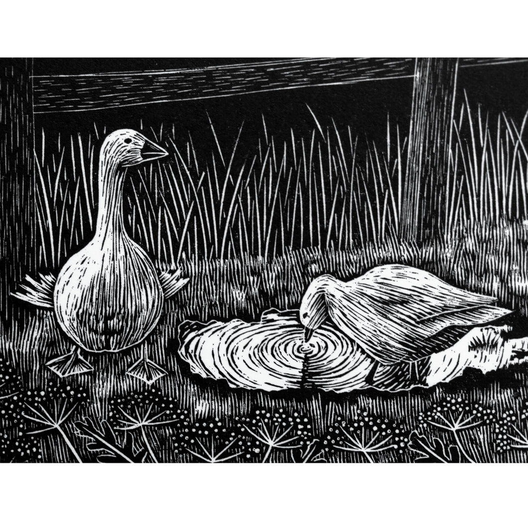 Molly Lemon Wood Engraving Geese