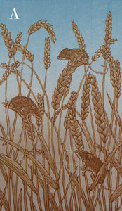 Artist Proofs/Seconds Harvest Mice 2021