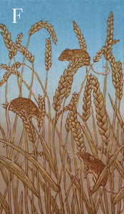 Artist Proofs/Seconds Harvest Mice 2021