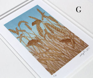 Artist Proofs/Seconds Harvest Mice 2021
