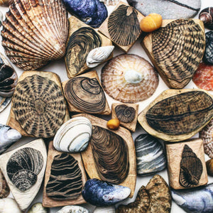 Seashells Mini 2020
