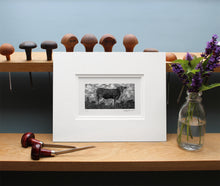 Load image into Gallery viewer, Molly Lemon Wood Engraving Cow
