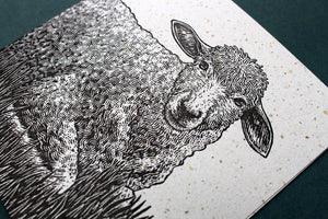 Robin and Sheep Letterpress Card Pack
