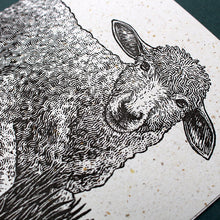 Load image into Gallery viewer, WHOLESALE LISTING Sheep Letterpress Cards RRP £3
