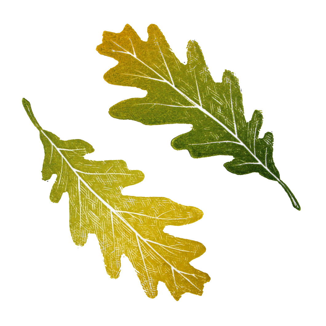 Oak Leaves 2020