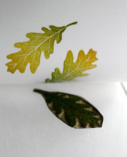 Load image into Gallery viewer, Oak Leaves 2020
