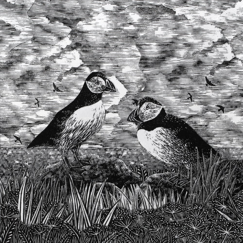 A collaged wood engraving artwork featuring two puffins on a grassy surface with a cloudy sky in the background