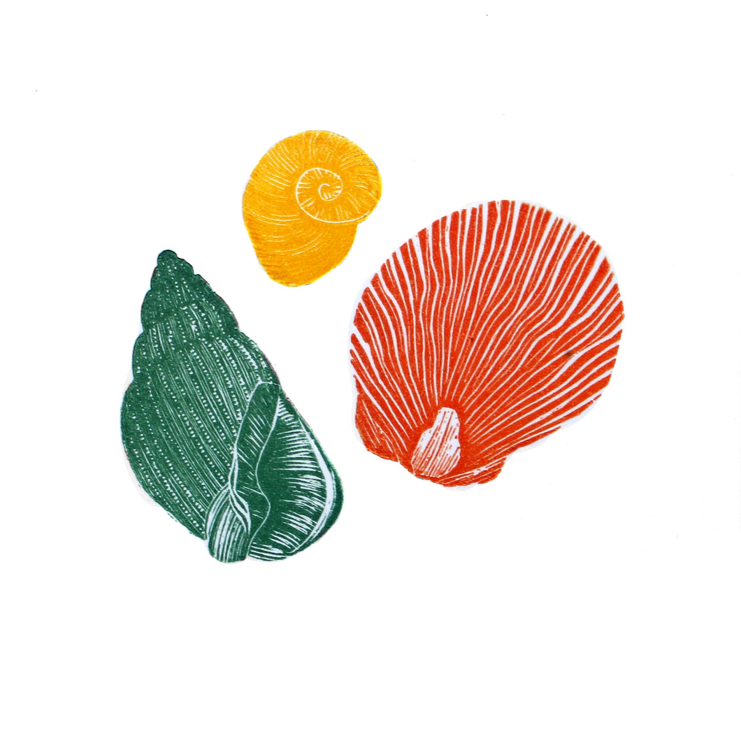 Seashells Mini II 2020