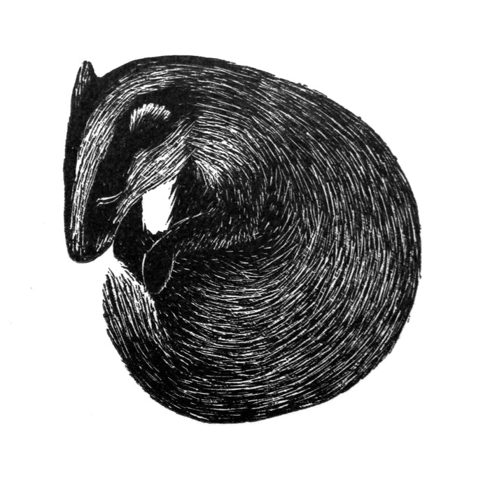 Molly Lemon Wood Engraving Badger