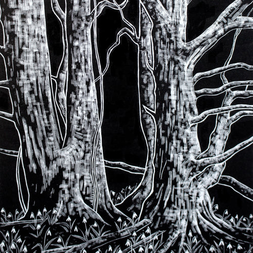 Molly Lemon Wood Engraving Snowdrops