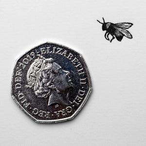 Extremely Miniature Bee