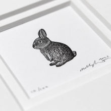 Load image into Gallery viewer, Extremely Miniature Rabbit
