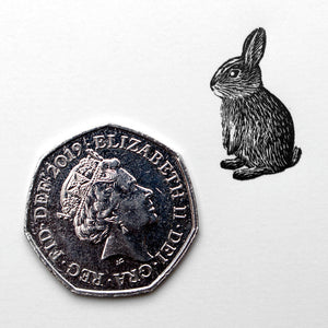Extremely Miniature Rabbit