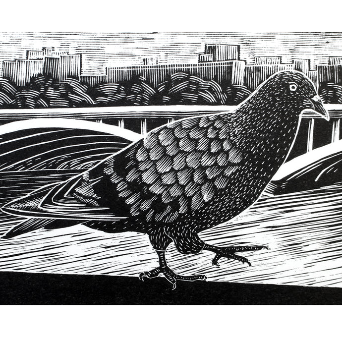 Molly Lemon Wood Engraving Pigeon