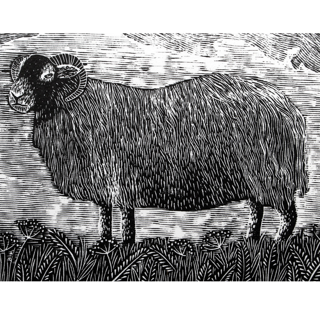 Molly Lemon Wood Engraving Sheep