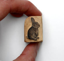 Load image into Gallery viewer, Extremely Miniature Rabbit
